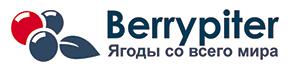 Berrypiter - интернет магазин сушеных ягод и диетических продуктов